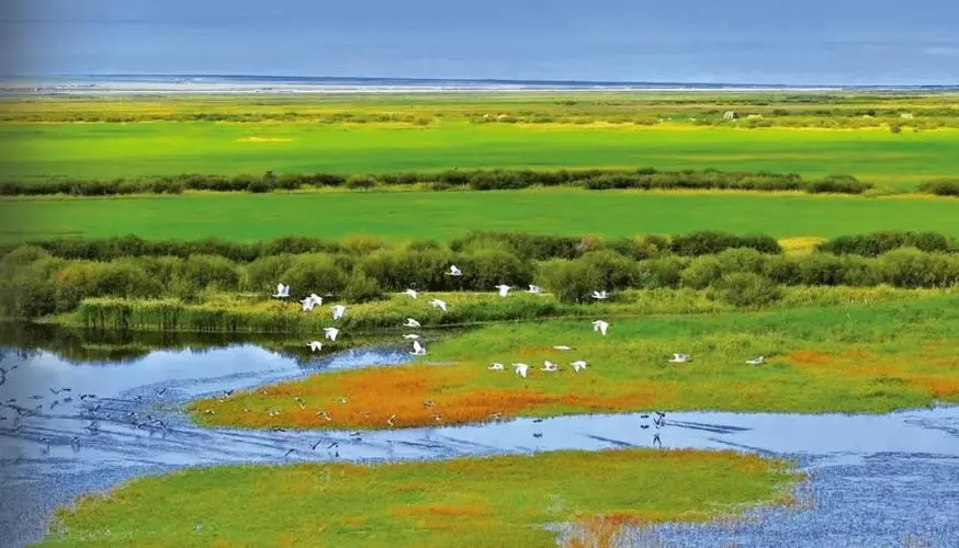 內蒙古生態(tài)環(huán)境監測系統首個(gè)生態(tài)質(zhì)量評估標準正式實(shí)施 
