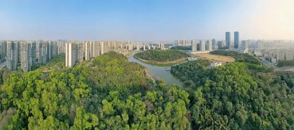 “三進(jìn)三同”攜手共進(jìn)，江門(mén)站助力區縣監測見(jiàn)成效