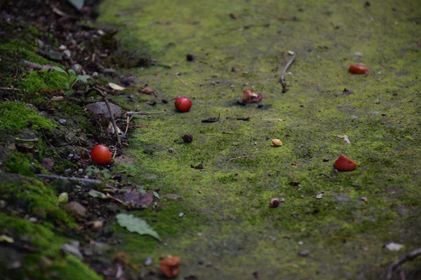 創(chuàng  )新土壤污染管控模式，廣州為企業(yè)綠色發(fā)展“保駕護航” 