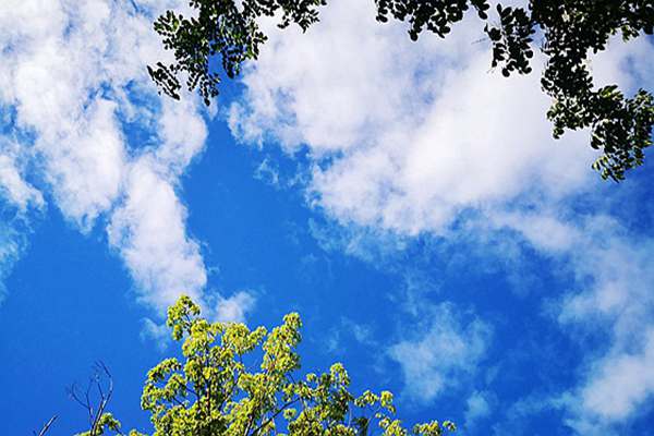 逐“綠”而行，迎“藍”而上—常熟聚焦VOCs治理全力攻堅臭氧難題