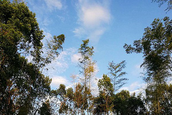 包河區生態(tài)環(huán)境分局：藍天不是等出來(lái)的，是干出來(lái)的