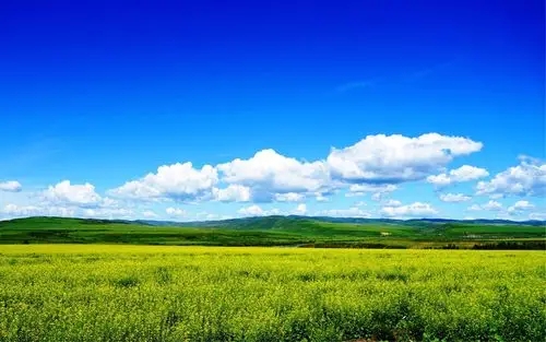 深港強化生態(tài)環(huán)境領(lǐng)域規則銜接與機制對接，攜手共赴美麗中國先行區之約 