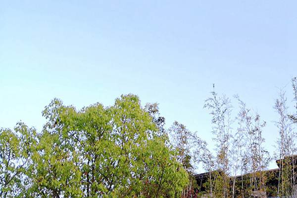 廢氣治理＋綠色運輸！安徽省第三生態(tài)環(huán)境保護督察組調研阜陽(yáng)空氣質(zhì)量提升攻堅 