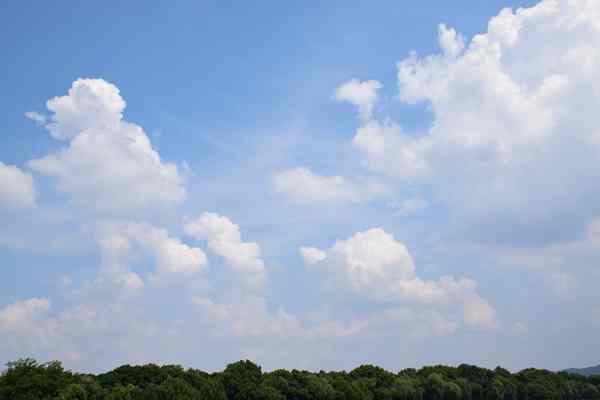 河西區生態(tài)環(huán)境局打響“臭氧阻擊戰” 