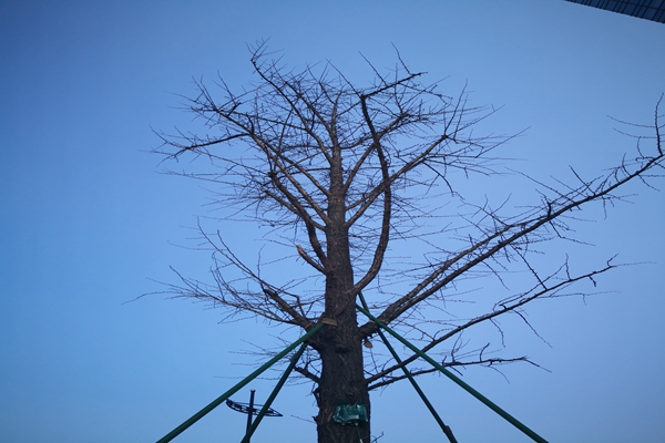 提“氣”質(zhì)丨打造2.0版本，實(shí)現“大數據”精準治污